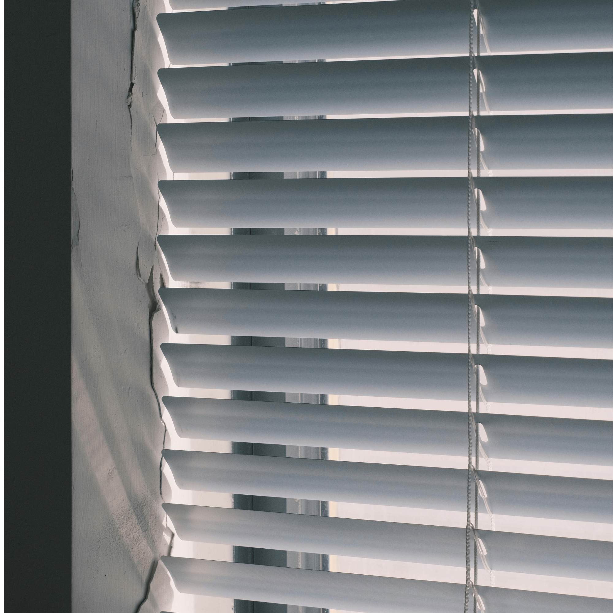 Blinds Cleaning